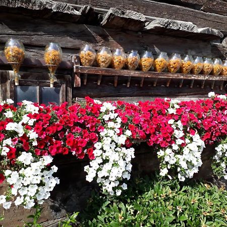 Garni Gimea Hotel ลีวินโญ ภายนอก รูปภาพ