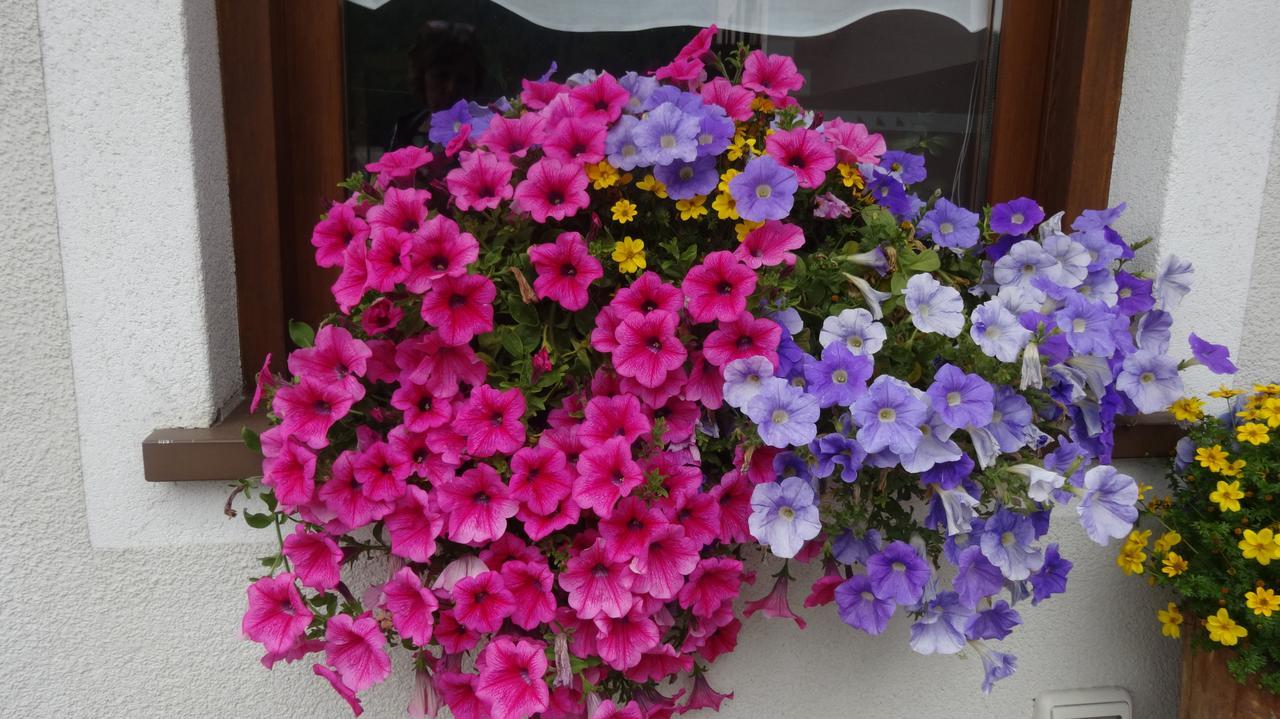Garni Gimea Hotel ลีวินโญ ภายนอก รูปภาพ